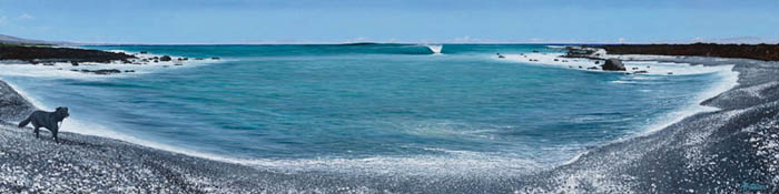 picture/Dog_on_Kohala_Coast.jpg