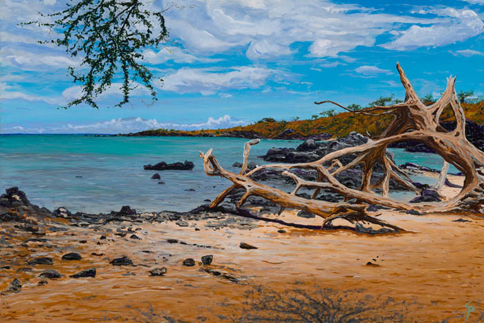 picture/Waimea_Bay.jpg