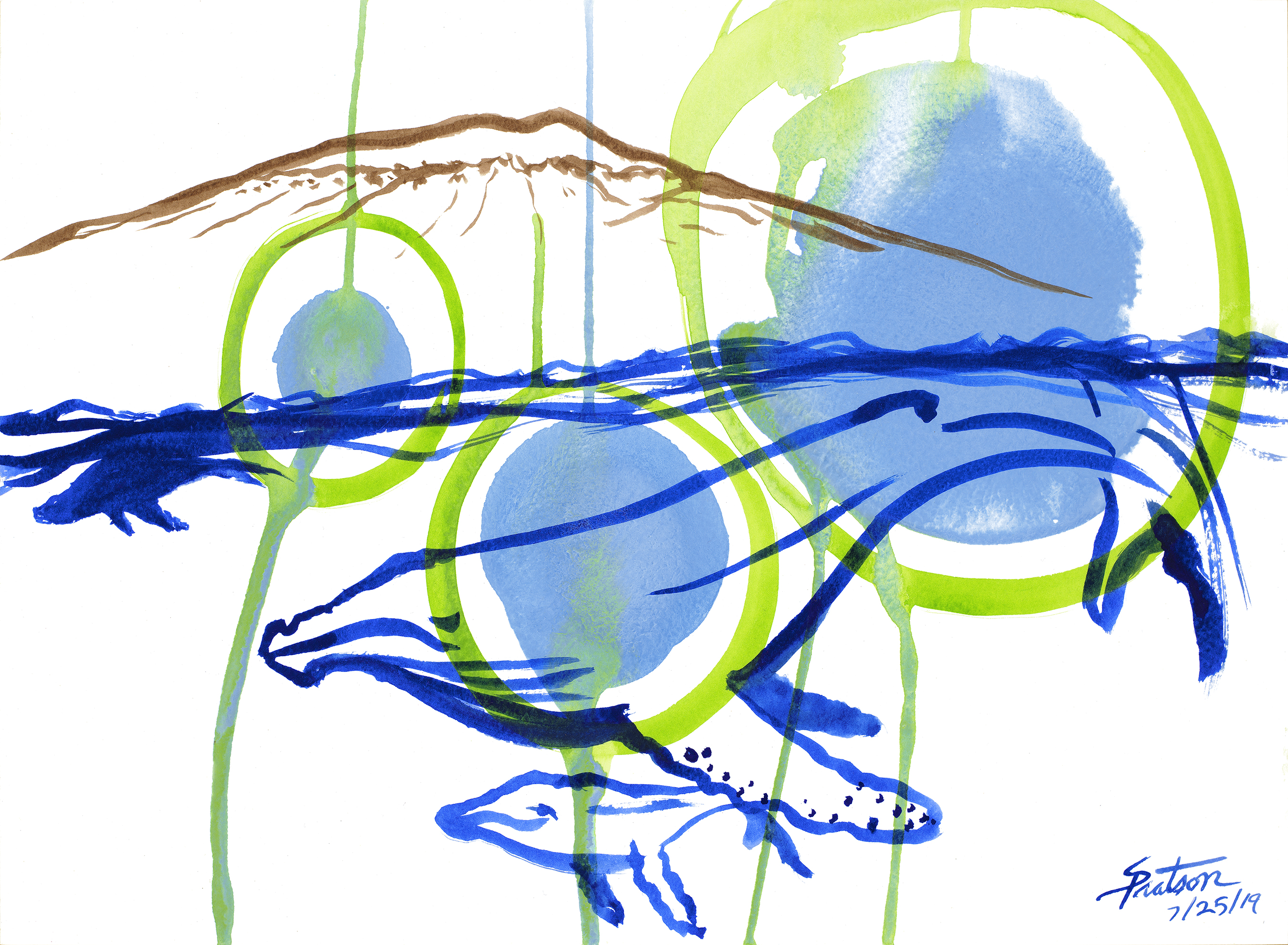 picture/Whales.jpg